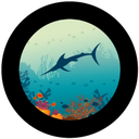 Sea Animals 1