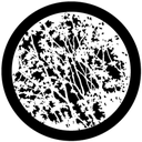 Gbvnat001