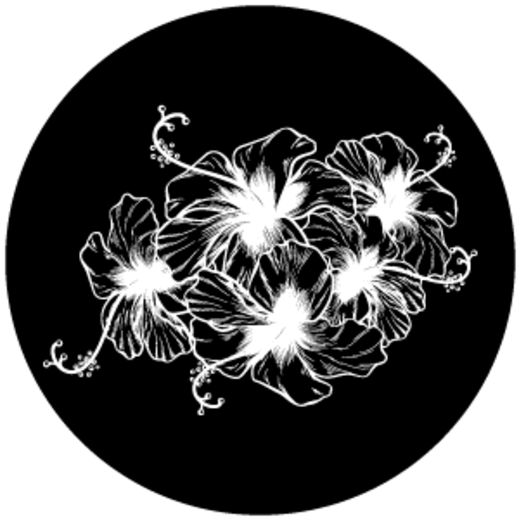 Gbvnat012
