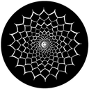 Gbvvsl021