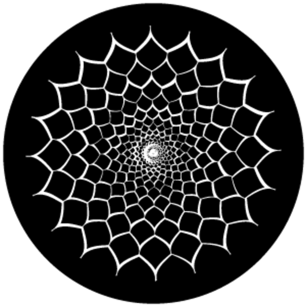 3D Net
