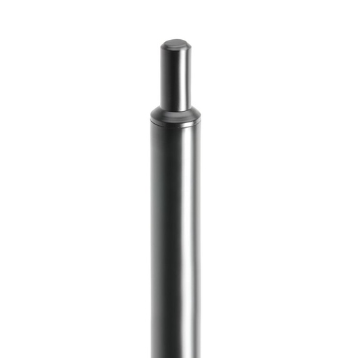 LDSPS16_2.jpg