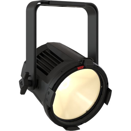 EclPar IPMVW 1