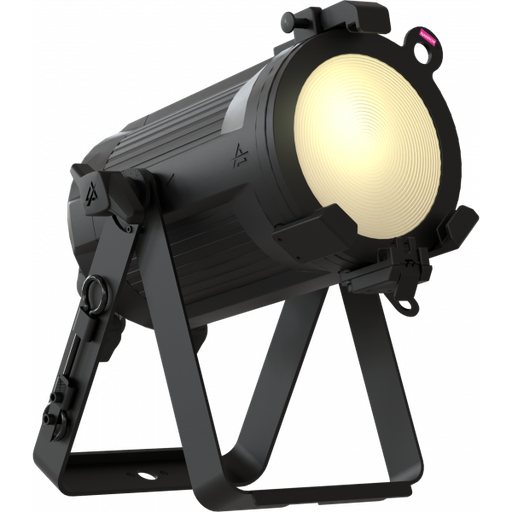 EclPar IPSVW 2