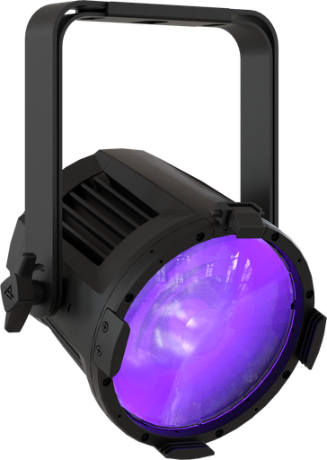 EclPar IPMUV