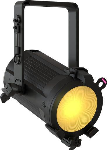 EclPar IPSFC