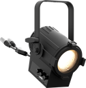 EclMiniFresnel VW