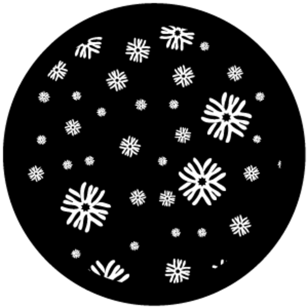Gbvxms057