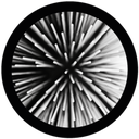 Gbbabs019