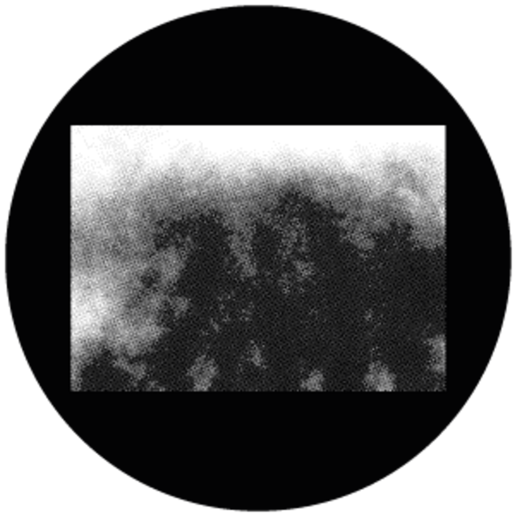 Gbvhft019