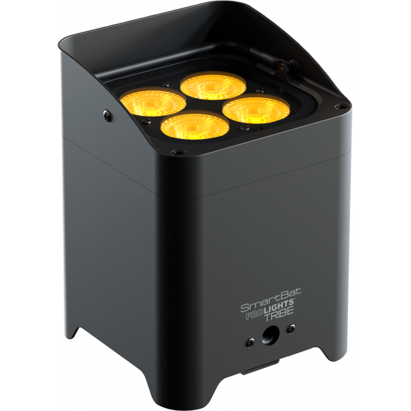 SMARTBATBK