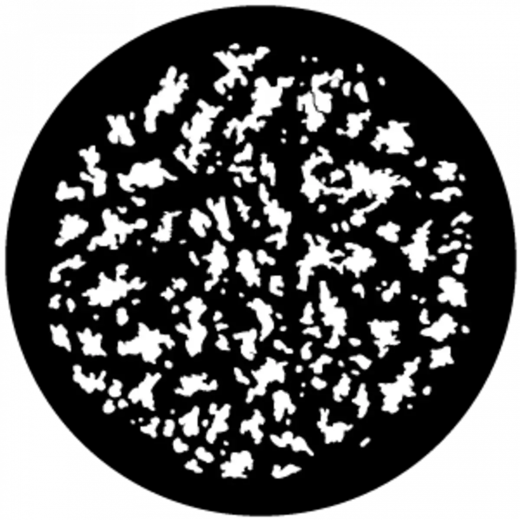 GBVMSL00155B00