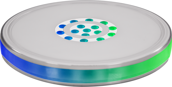 SMARTDISK1