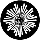Gbvgmt024