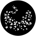 Gbvnat009