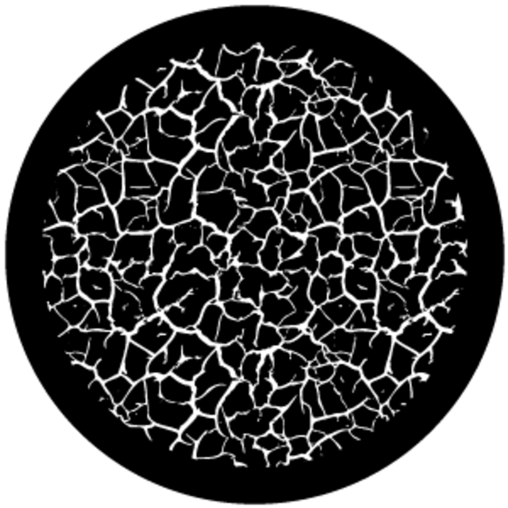 Gbvnat018