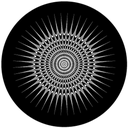 Gbvvsl005