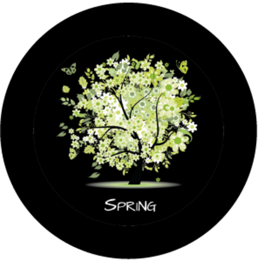 [GBBNAT02920H16] Spring (H)