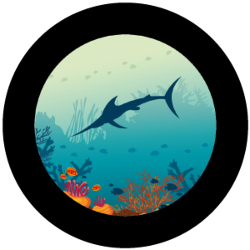 Sea Animals 1